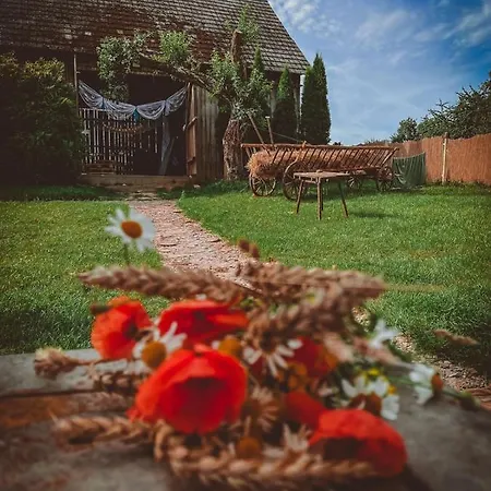 Zaczarowana Furmanka Tatil Evi